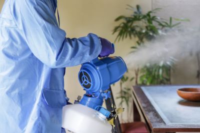Odor Removal Devices