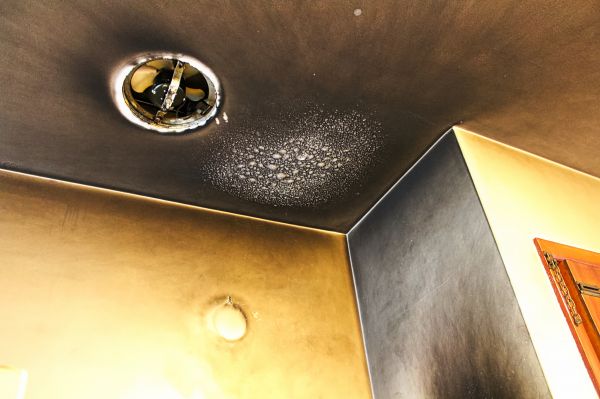 Cost of Smoke Damage Remediation in Fishers